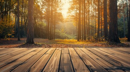 Canvas Print - Golden Hour in the Woods