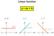 © Radicik - Linear functions - equations and graphical representation of specific three examples of linear functions