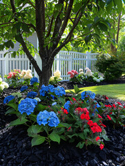 Wall Mural - there is a tree with blue and red flowers in the front yard