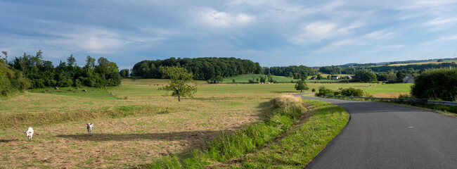 Wall Mural - country road winds through rural countryside of french ardennes