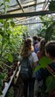 © spyrakot - Classmates Learning About Greenhouse Plants on Educational Farm Visit