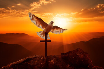 Peaceful dove flying with sunset or sunrise sky, embodying the Spirit of God.