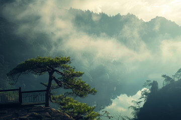 Poster - A misty forest with a tree in the foreground