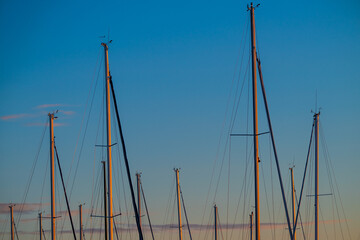 Wall Mural - Masts of sailboats in a marina at sunset.