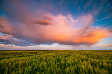 Wall Mural - A gorgeous storm cloud with rain, illuminated by the rays of the sun at sunset.