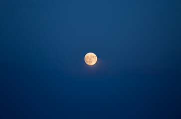 Wall Mural - a large full moon shines brightly in the night sky.