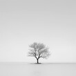 © Isaiah - tree winter snow landscape minimal nature isolated barren solitude black-and-white frost season cold serenity tranquility field