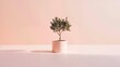 © RocknRoller Studios - Mindfulness and Calm with a Potted Tree in Soft Pink Light