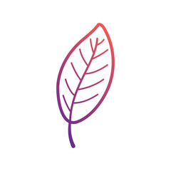 Wall Mural - autumn leaves icon vector