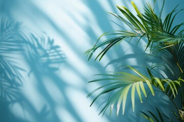 Wall Mural - abstract palm leaf shadow background for product presentation in spring and summer.