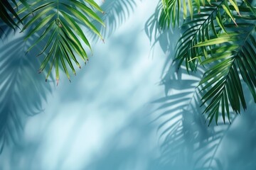 Wall Mural - Abstract palm leaf shadow background for product presentation in spring and summer.