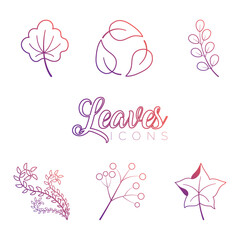 Wall Mural - autumn leaves icons set vector