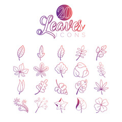 Wall Mural - autumn leaves icons set vector