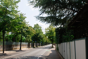 Road in the countryside with trees and the blue sky background 