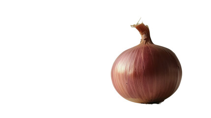 Onion on transparent background