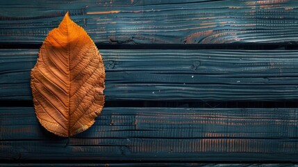 Leaf on dark wooden surface