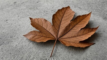 Poster -  Autumns quiet beauty captured in a single leaf