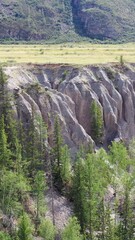 Wall Mural - Vertical aerial video view from drone of river Chuya Pillars in Altai.