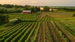 © Prostock-studio - A vast farm with rows of crops at sunset, showing various stages of growth. A red farmhouse stands in the distance.