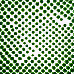 Wall Mural - Green Circle Pattern