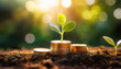 © decado - A seedling sprouts from a coin lying on the ground, embodying green investment, financial growth concepts, and the notion of rising money to invest
