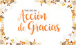 © Anis_ - feliz día de acción de gracias