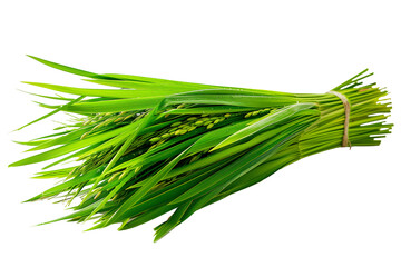 Fresh rice with green leaves isolated on transparent background