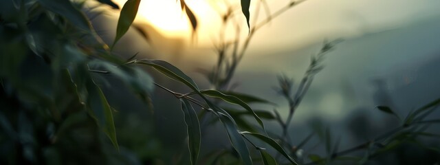 Poster -  A tight shot of a plant against a backdrop of the sun, with a faintly blurred foreground