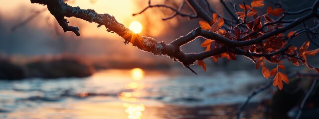 Sticker -  The sun illuminates the tree's branches, casting reflections on the nearby body of water A solitary tree branch stands out in the foreground