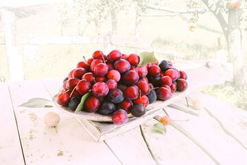 Wall Mural - plums on white rustic table