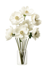 Wall Mural - Beautiful white flower in vase isolated on transparent background.