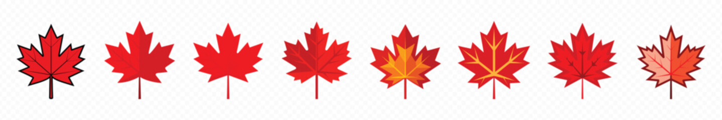 a simple maple leaf icon, maple leaf vector icon. maple leaf vector illustration. red canadian autum