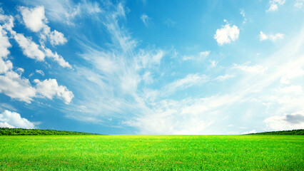 Wall Mural - summer landscape with green field and sky