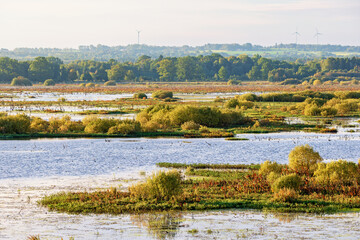 Canvas Print - Scenic view at a wetland a sunny autumn day