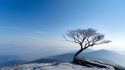 Wall Mural - a lone tree stands on a mountain summit, its branches reaching out against the vastness of the sky a