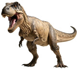 Tyrannosaurus Rex Dinosaur Isolated on White Background