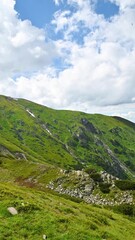 Wall Mural - Beautiful mountain landscape in summer. Tatras.