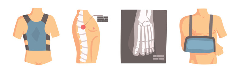 Sticker - Human Bone and Joint Fracture and Rehabilitation Object Vector Set