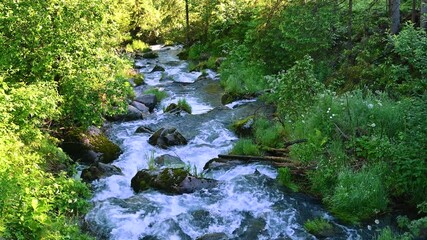 Wall Mural - mountain river