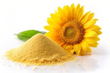 Vibrant yellow sunflower lecithin powder spills out of a small heap on a pristine white background, with a bright sunflower blossom blooming softly in the distance.