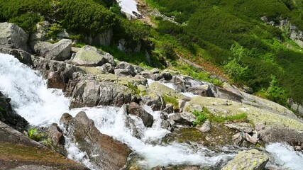 Wall Mural - Landscape with a mountain river