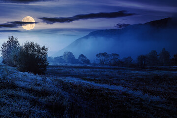 Wall Mural - fog among trees on meadow in mountains under clear sky at night. wonderful countryside scenery in fu