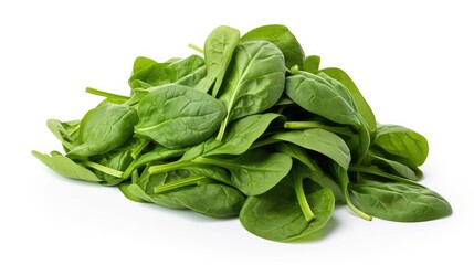 Poster - leaves top spinach green