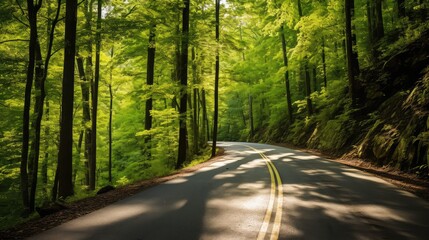 Wall Mural - lush tennessee roads