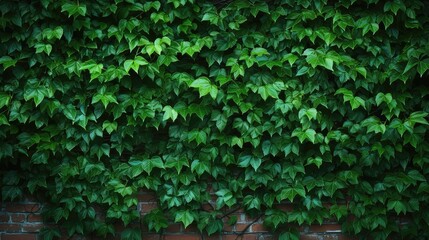 Canvas Print - organic green pattern background