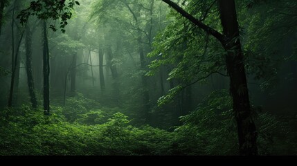 Canvas Print - leaves green gray background