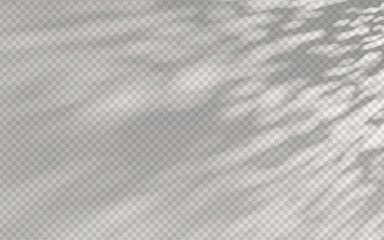 Wall Mural - abstract shadow overlay from foliage on a transparent background.