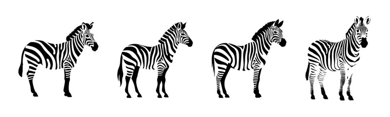 Wall Mural - black zebra silhouette cutout. set of zebra animal silhouette on transparent background