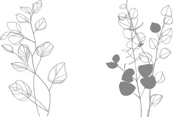 Fototapete - One line drawing of Eucalyptus leaves. - Illustration in the modern style