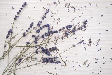 Top view of lavender flowers on white wooden background. Lavender bouquet in flat lay. Copy space. Place for text